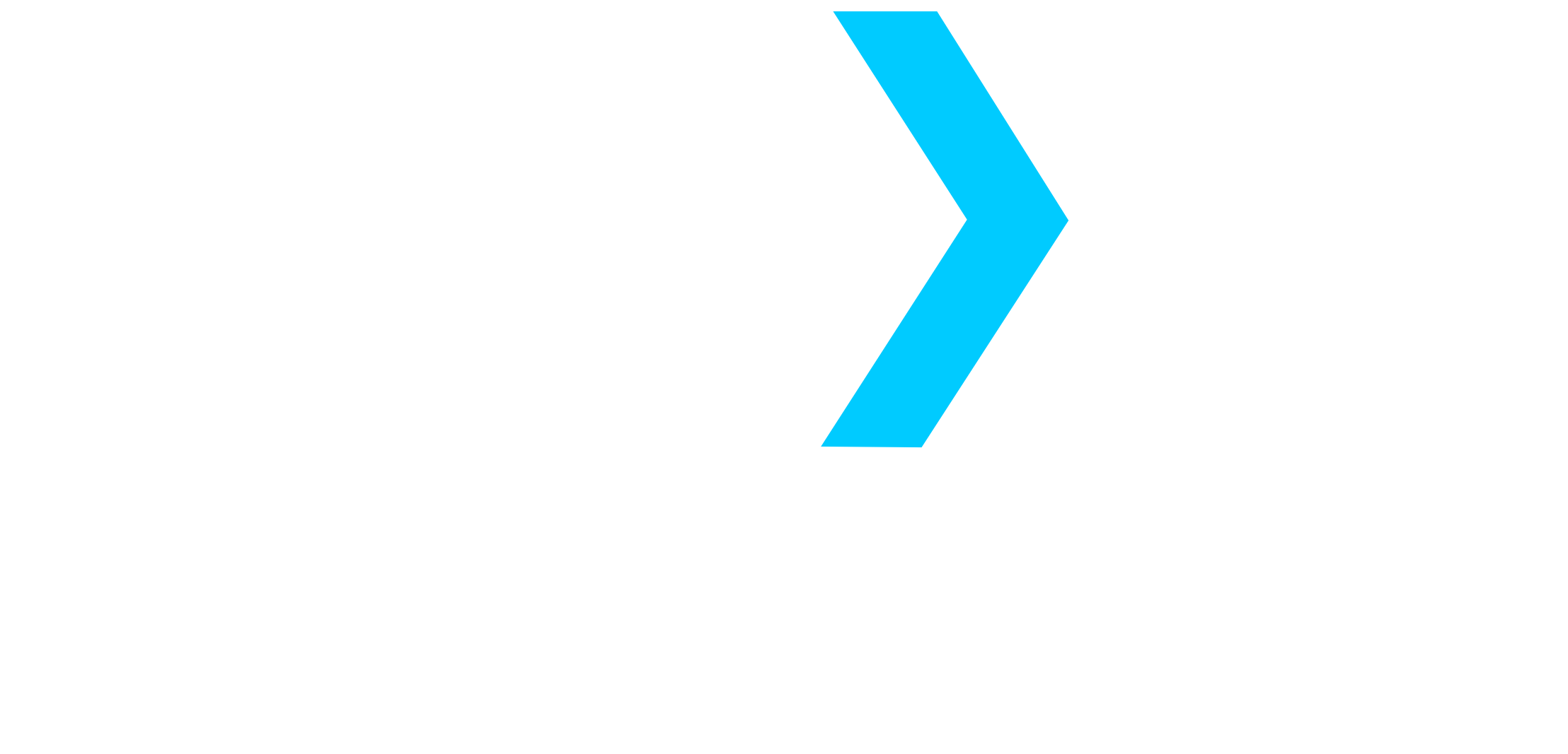 NEXT SpaceStrategy Logo